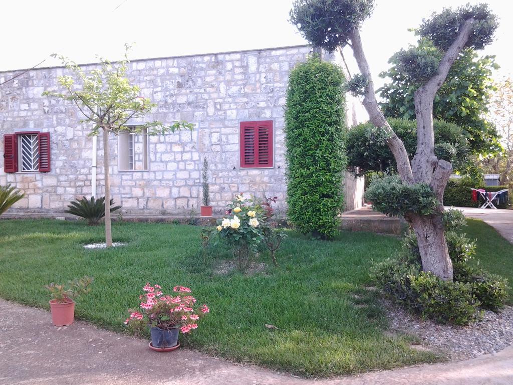 سيلفا دو فاسانو B&B Tenuta Ranieri المظهر الخارجي الصورة